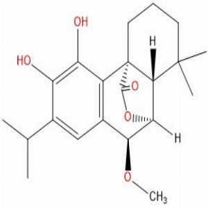 7-甲氧基迷迭香酚，7-O-Methylrosmanol，113085-62-4