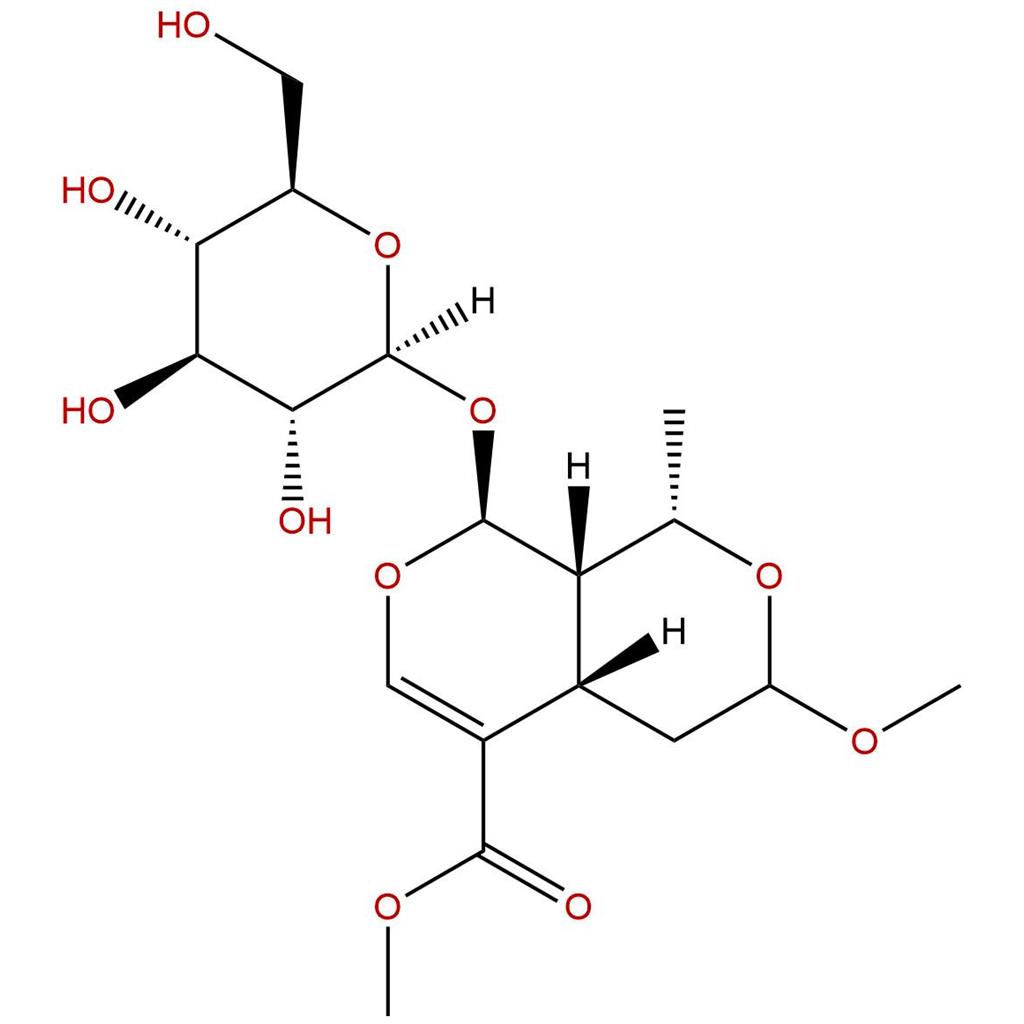 7-O-甲基莫诺苷，7-O-Methyl morroniside，41679-97-4