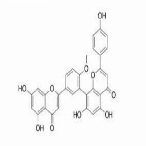 白果双黄酮，Bilobetin，521-32-4