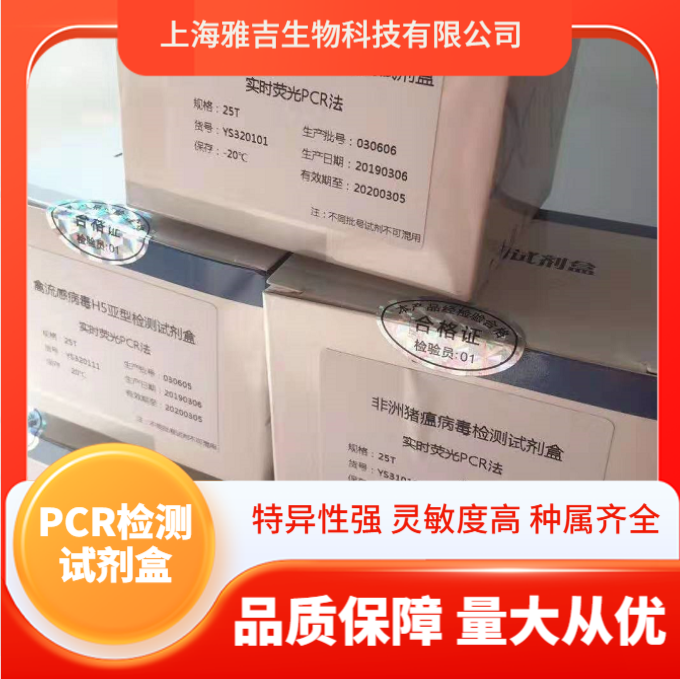 幽门螺旋杆菌探针法荧光定量PCR试剂盒