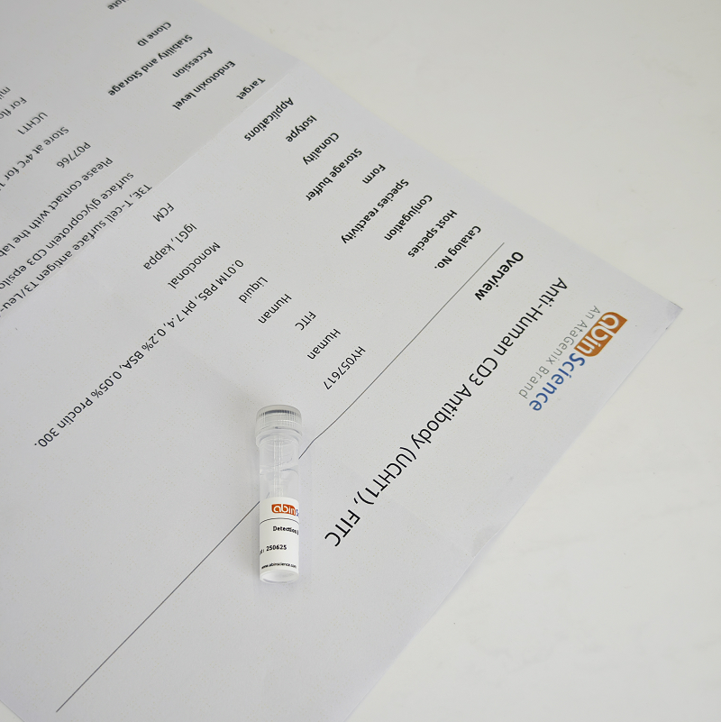 重组鸡Gal d II卵白蛋白/N端组氨酸标签蛋白