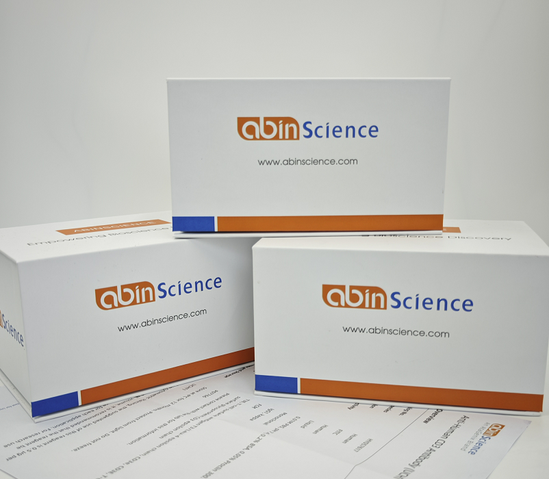 重组鸡Gal d 4溶菌酶/N端组氨酸标签蛋白