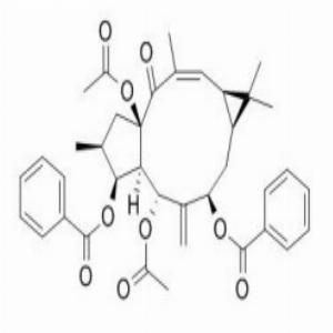 大戟因子L2，Euphorbia Factor L2，218916-51-9