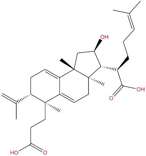 茯苓酸B，Poricoic acid B，137551-39-4
