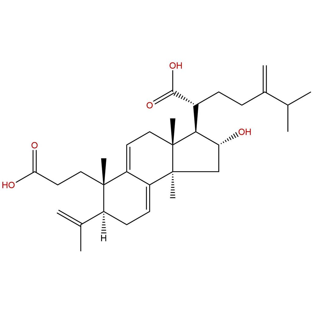茯苓酸A，Poricoic acid A，137551-38-3