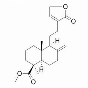 红松内酯，Pinusolide，31685-80-0