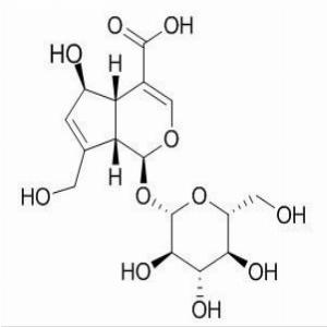鸡屎藤次苷，Scandoside，18842-99-4
