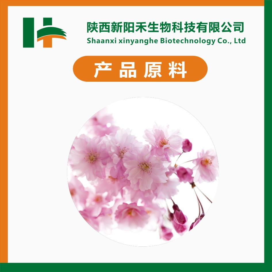 樱花粉 樱花水溶粉