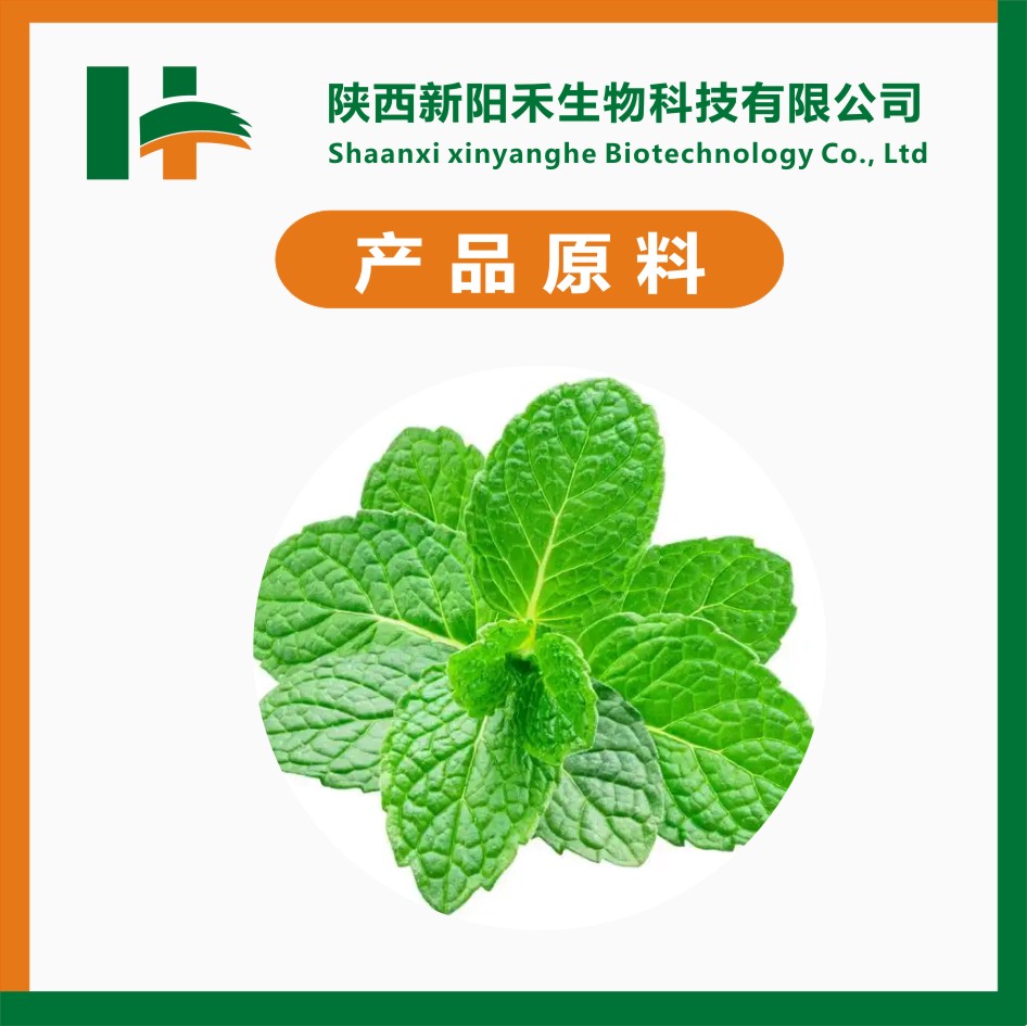 薄荷提取物