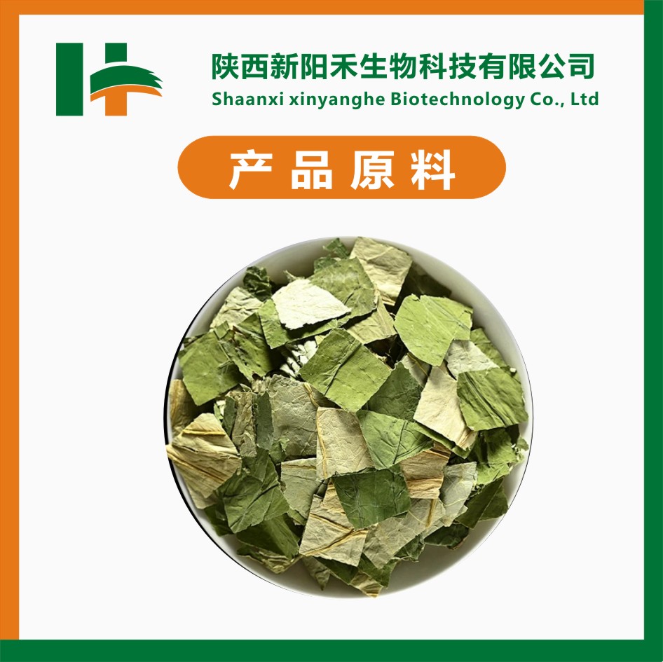 荷叶提取物 荷叶碱2%