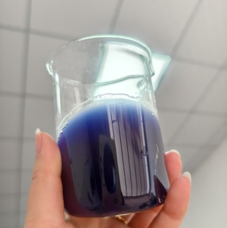 蝶豆花粉 蝶豆花提取物