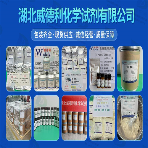 吡拉西坦 原料 优质现货 高纯度 7491-74-9