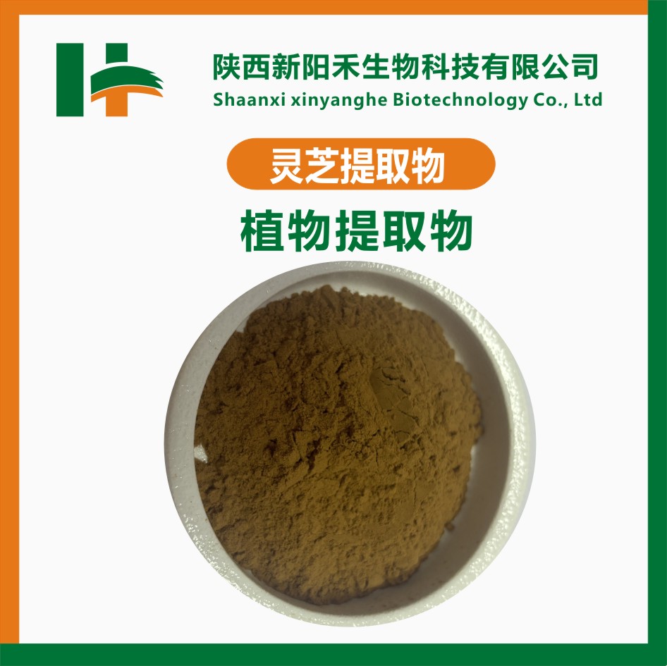 灵芝提取物