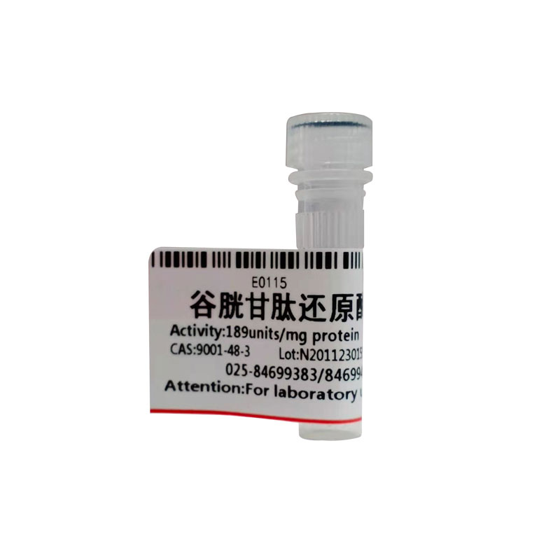 谷胱甘肽还原酶
