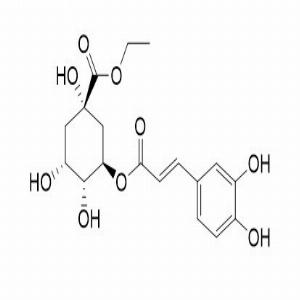 绿原酸乙酯，Ethyl chlorogenate，425408-42-0