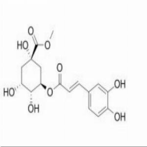 绿原酸甲酯，3-O-Caffeoylquinic acid methyl ester，123483-19-2