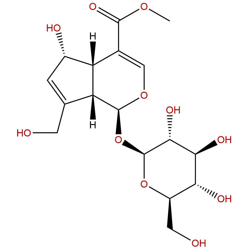 去乙酰基车叶草苷酸甲酯，6α-hydroxygeniposide，52613-28-2