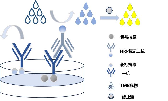 图片3.png 图片3.png