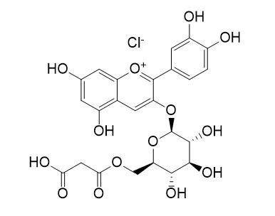 矢车菊素-3（6"-丙二酰）-葡萄糖苷，Cyanidin-3-O-(6''-malonylglucoside) chloride，171828-62-9