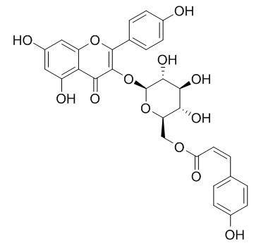 顺式椴树苷，cis-Tiliroside，163956-16-9