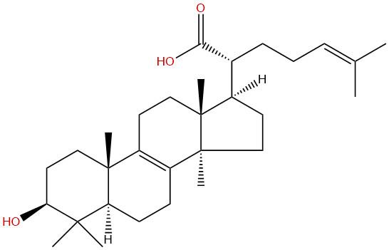栓菌酸，Trametenolic acid，24160-36-9