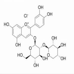 矢车菊素-3-桑布双糖苷，Cyanidin-3-O-sambubioside chloride，33012-73-6