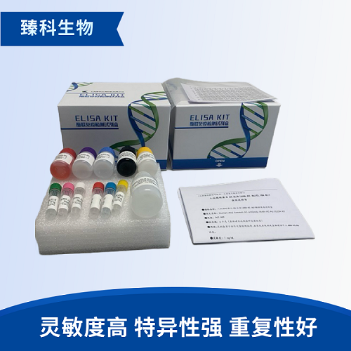 人破骨细胞分化因子(ODF）检测试剂盒（ELISA法）