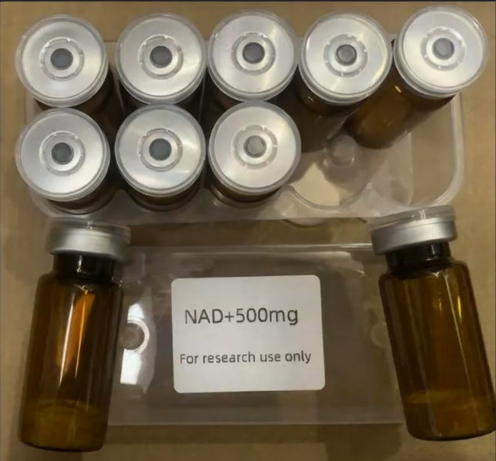 烟酰胺腺嘌呤二核苷酸NAD+