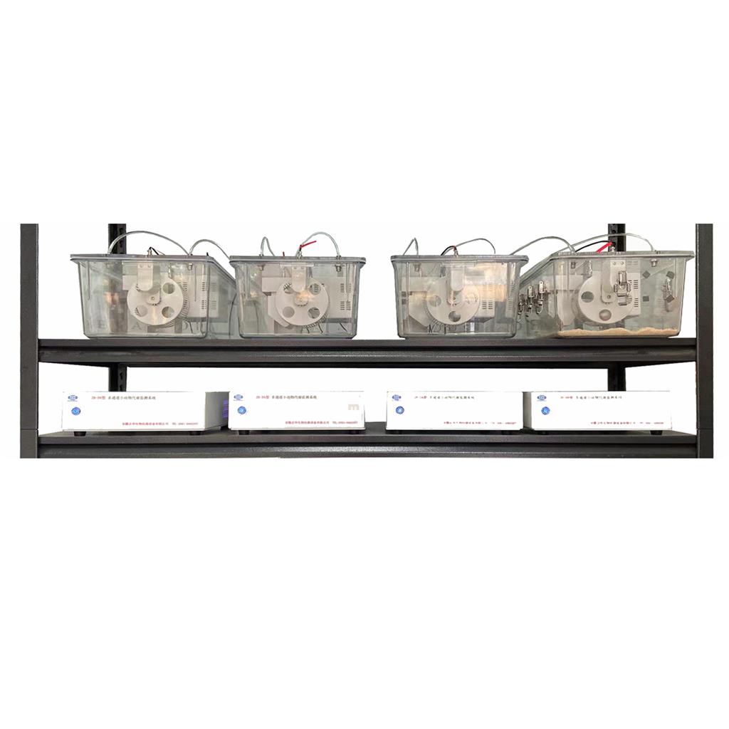 小动物能量代谢系统|cc|多通道动物气体代谢系统