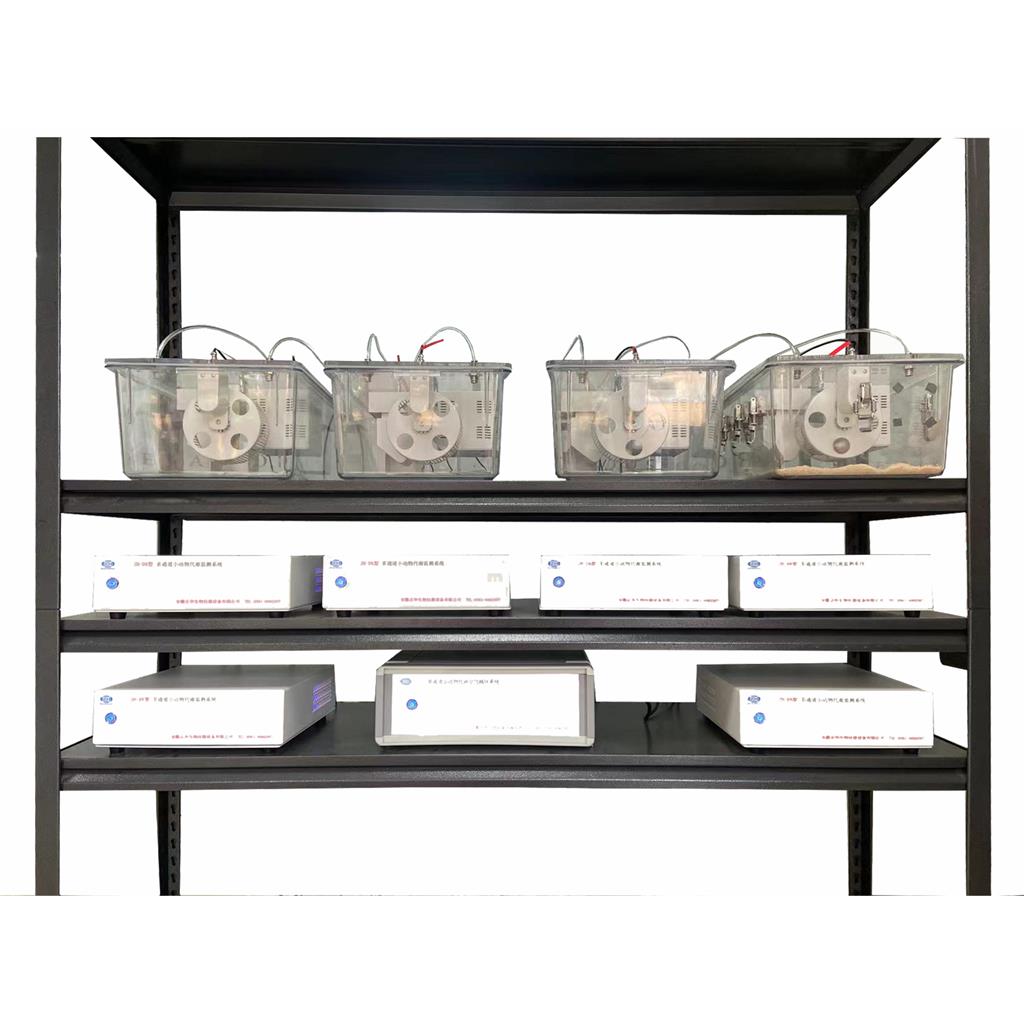 小动物能量代谢系统|cc|多通道动物气体代谢系统