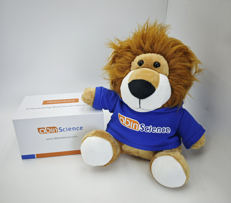 重组Mite Blo t 1.0101蛋白, N-His 