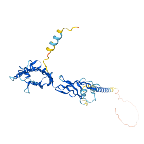 重组人SLAMF7/CRACC/CD319蛋白
