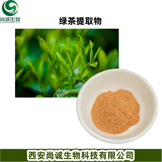 绿茶提取物 茶多酚 尚诚生物