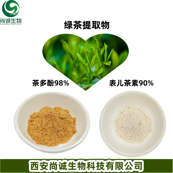 绿茶提取物 茶多酚 尚诚生物