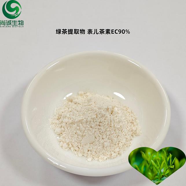 绿茶提取物 表儿茶素EC90% 尚诚生物.png