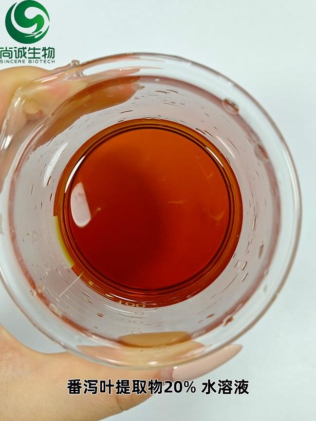 水溶液20% 100ml兑0.5g.jpg