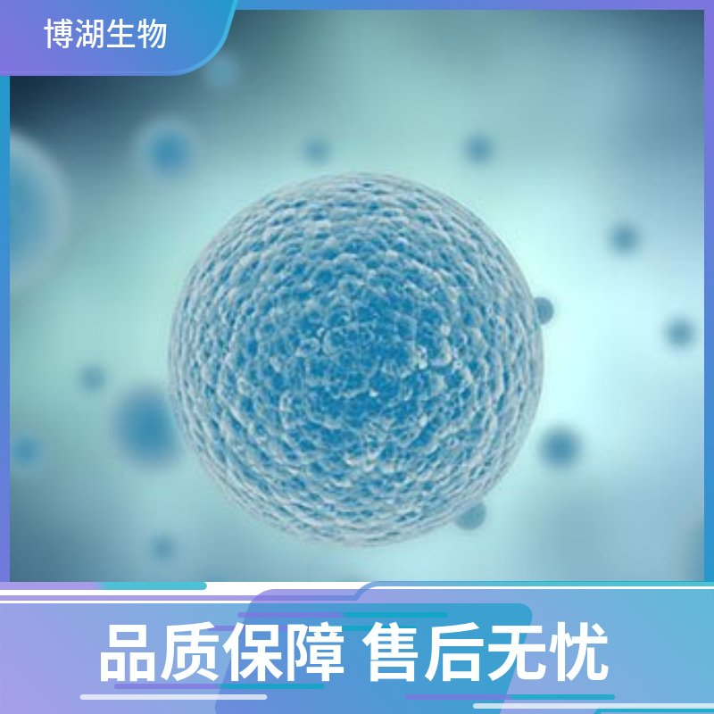 Hs 414.T人纤维肉瘤细胞