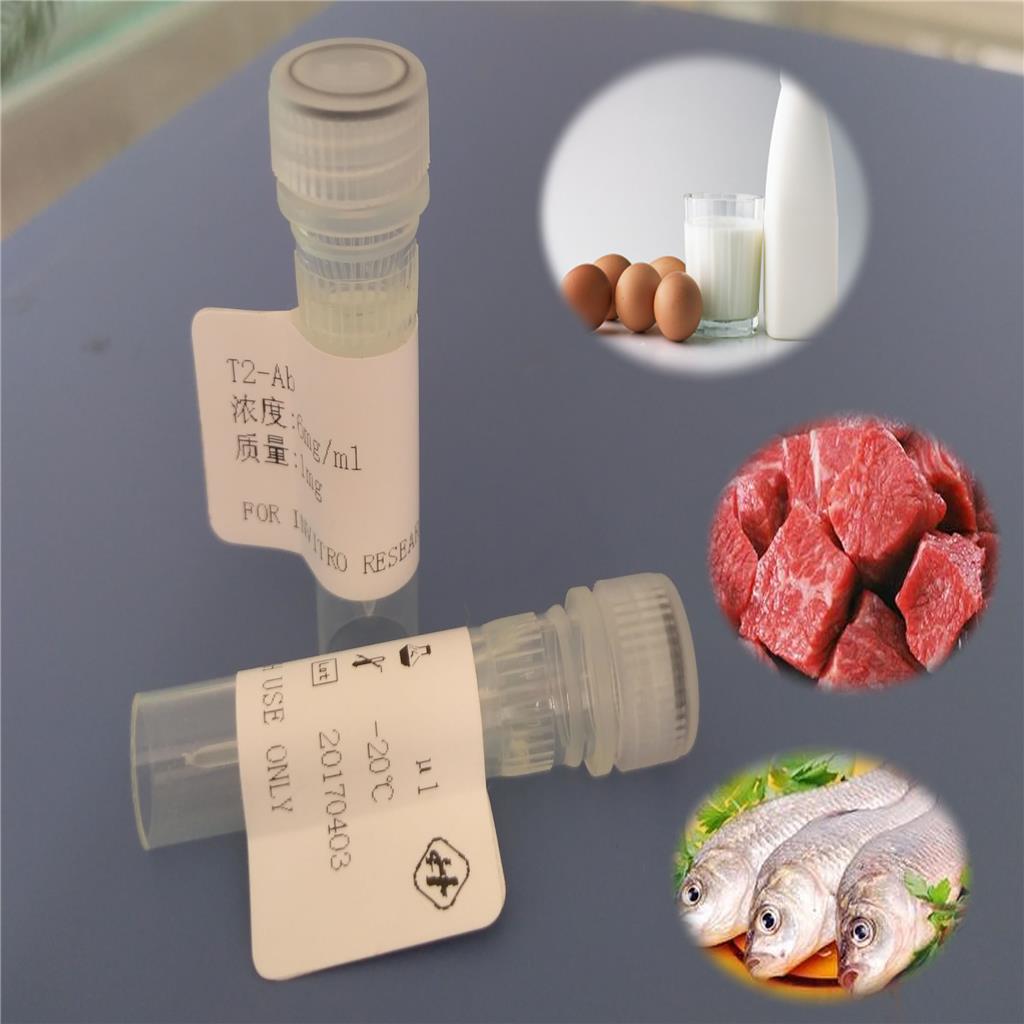 鼠抗猪瘟病毒单克隆抗体