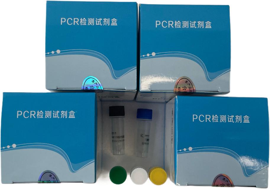 鸡毒支原体(MG)核酸检测试剂盒(荧光-PCR法)