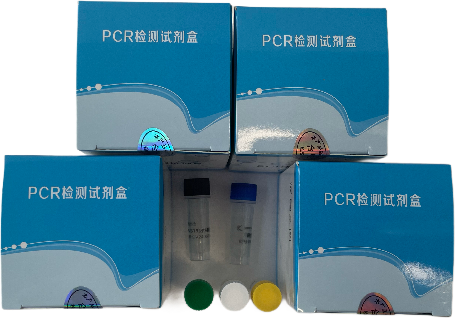 鸡毒支原体(MG)核酸检测试剂盒(荧光-PCR法)