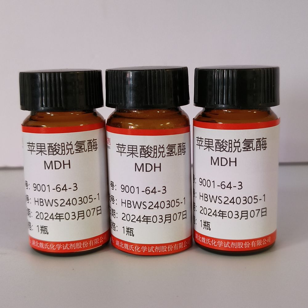 苹果酸脱氢酶/9001-64-3