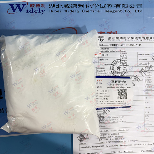 双氯西林钠 13412-64-1 威德利 纯度99%