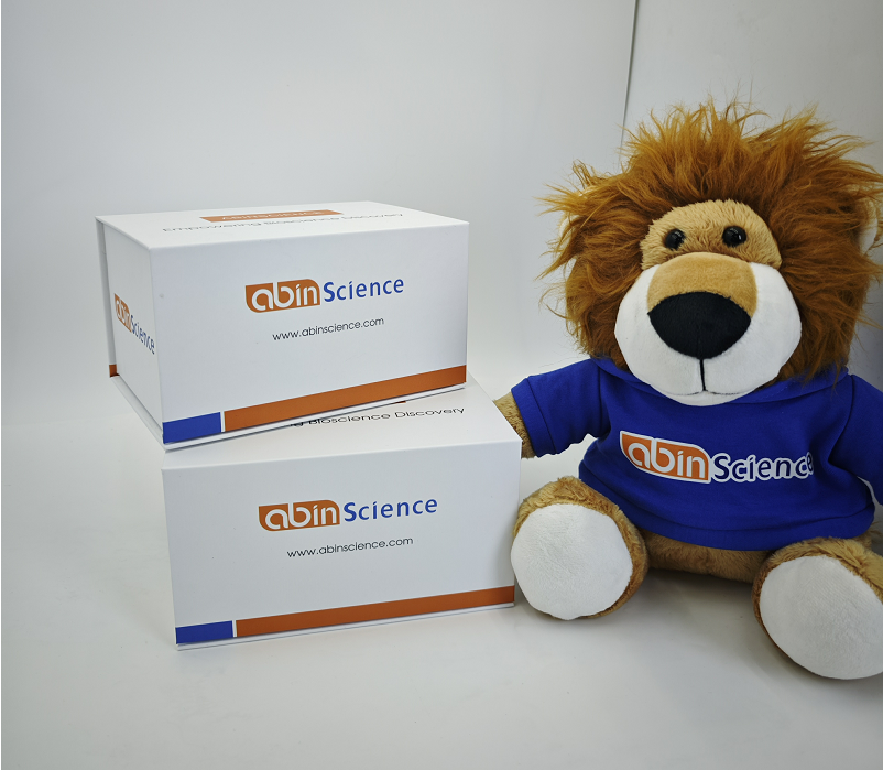 重组普通梯牧草Phl p 7/PHLPVII蛋白，N-GST标签及C-His标签? 