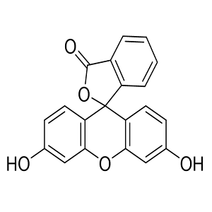 ATRA-FITC，维甲酸-荧光素标记物，Retinoic Acid-Fluorescein Conjugate