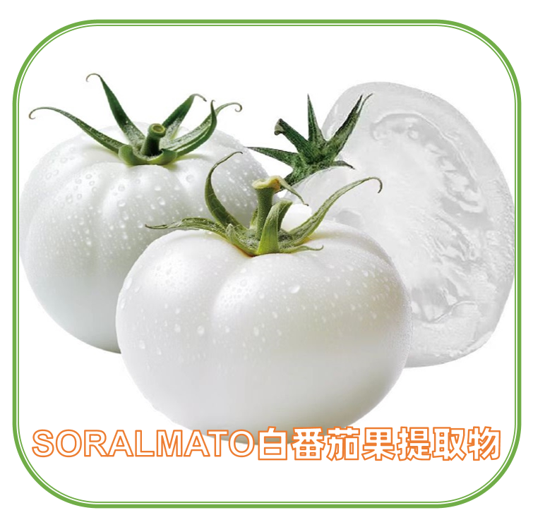 SORALMATO水晶白番茄提取物 | 白番茄浓缩粉 | 天然膳食补充剂成分 | 妆食同源