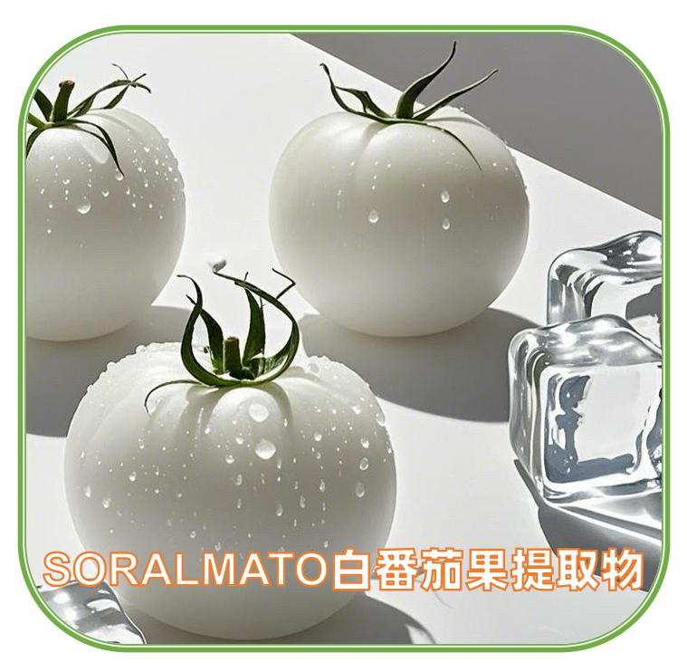 SORALMATO水晶白番茄提取物 | 白番茄浓缩粉 | 天然膳食补充剂成分 | 妆食同源