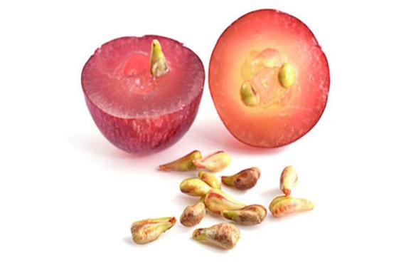 葡萄籽提取物    原花青素     葡萄籽多酚