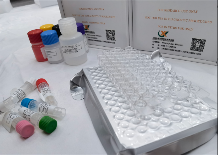 兔巨噬细胞炎性蛋白2（MIP-2）elisa试剂盒