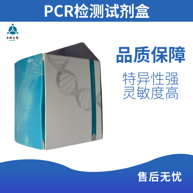 副溶血性弧菌检测试剂盒（PCR-荧光探针法）
