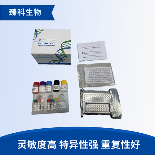 人CC趋化因子受体1(CCR-1）检测试剂盒（ELISA法）